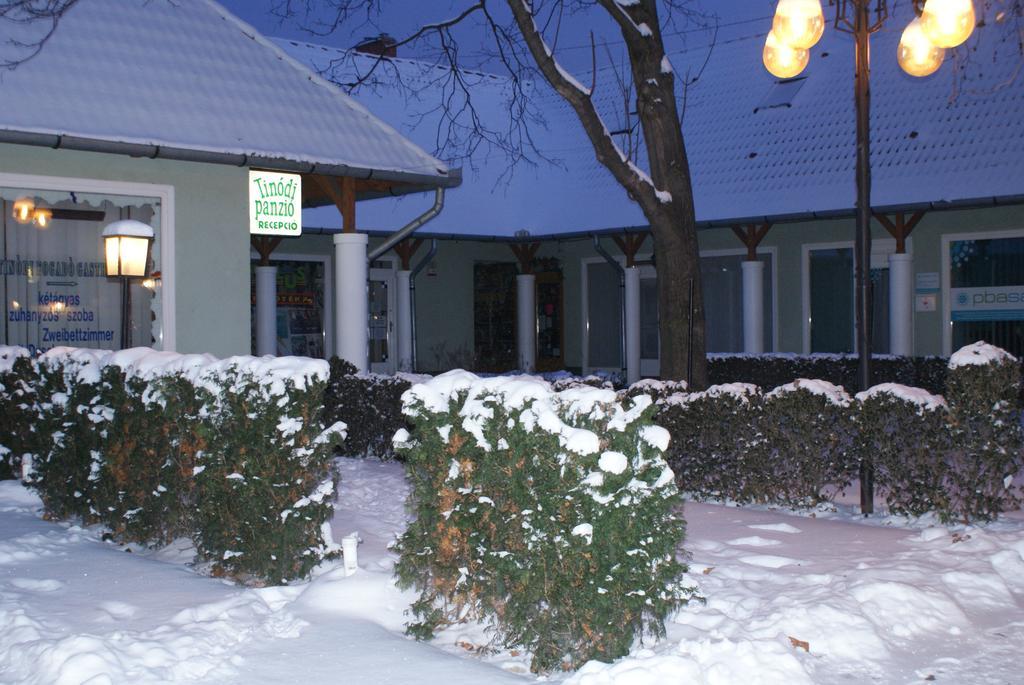 シャールヴァール Tinodi Fogado Bed & Breakfast エクステリア 写真